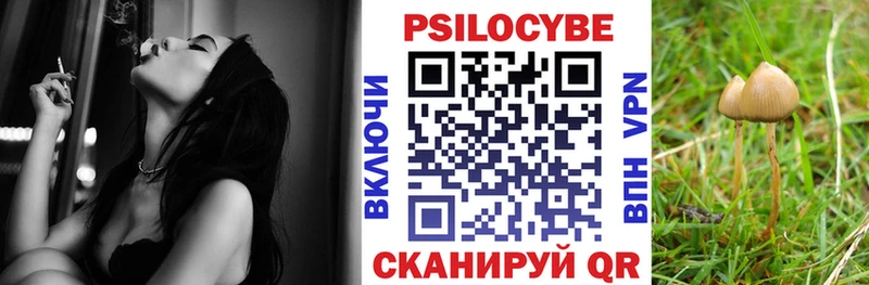 Псилоцибиновые грибы мухоморы Пугачёв